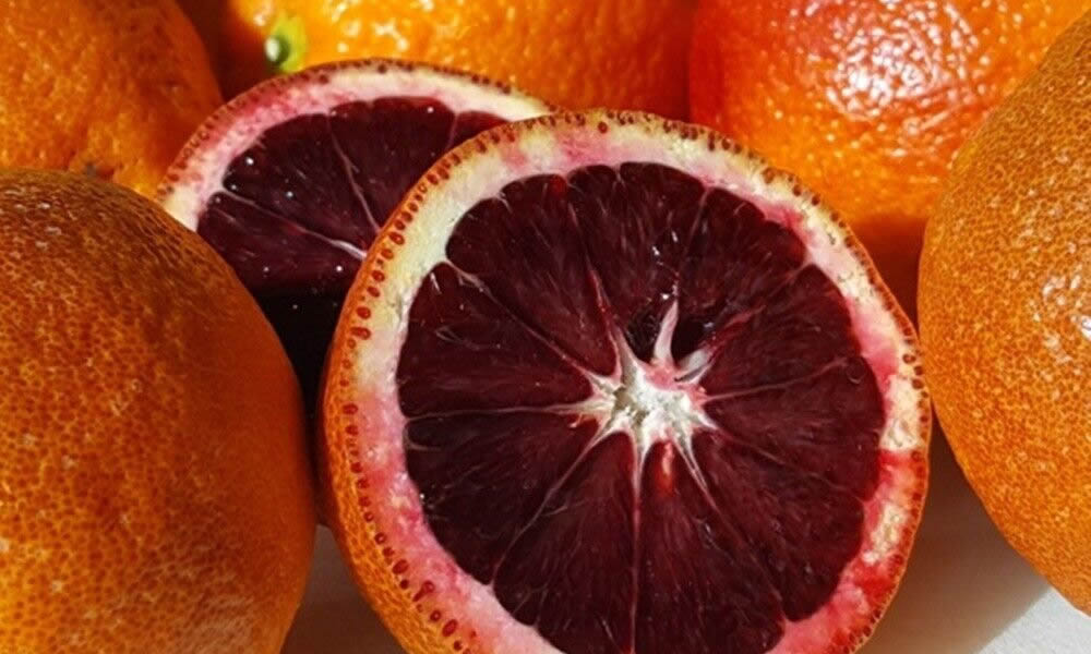 Oranges Moro